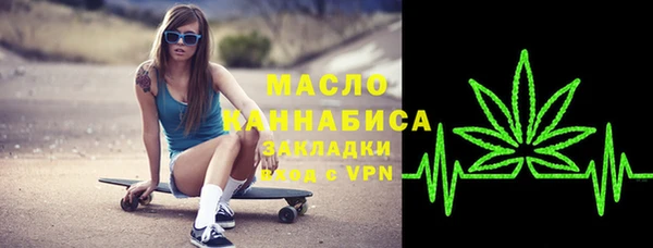 индика Горняк