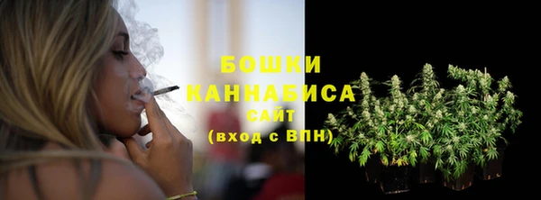 амф Россошь