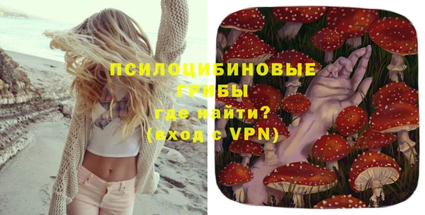 спайс Пролетарск