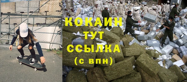 амф Россошь